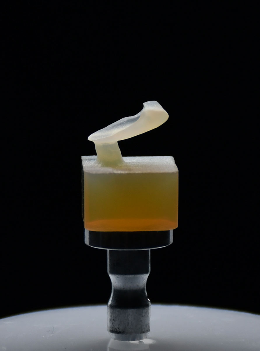 Glass-ceramic dental restoration milling